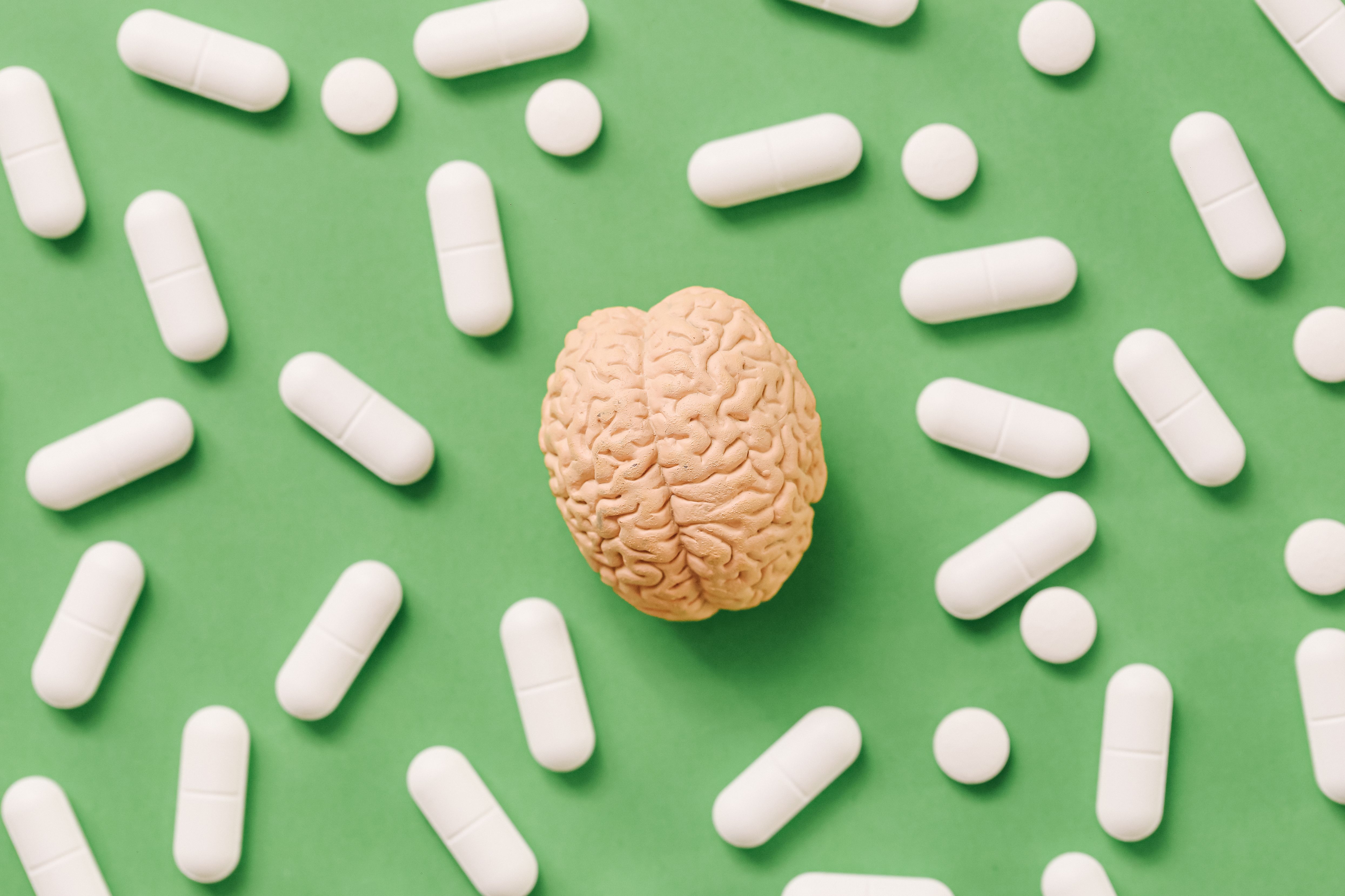 Magnesium May Not Reach Your Brain, Despite Supplement Label Promises — Wired, Berlin Schools news